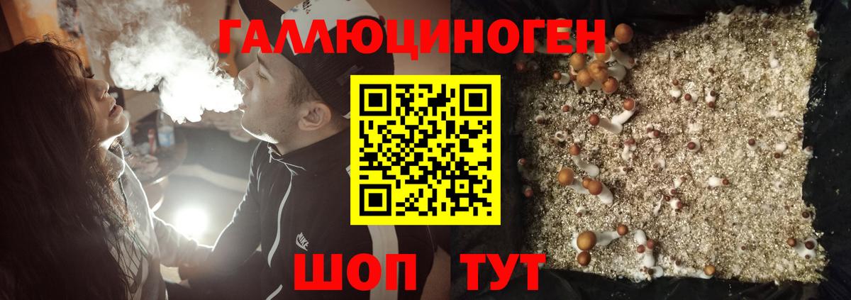 Галлюциногенные грибы ЛСД Грязи