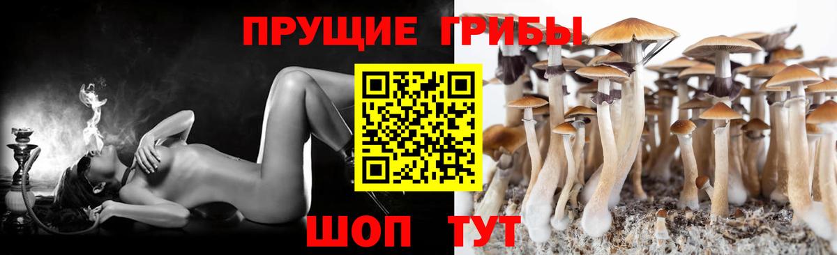 Галлюциногенные грибы Psilocybine cubensis  Вход с VPN  Грязи 